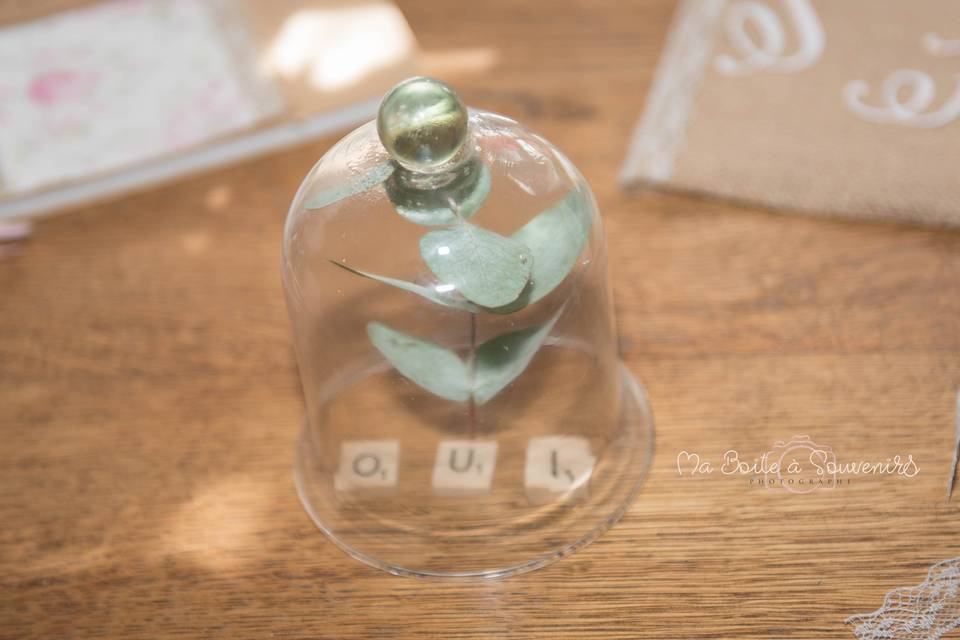 Ma Boite à Souvenirs