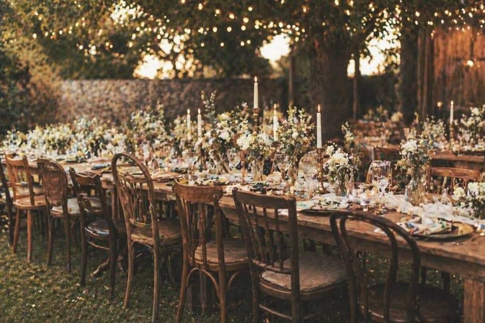 Chaises en bois