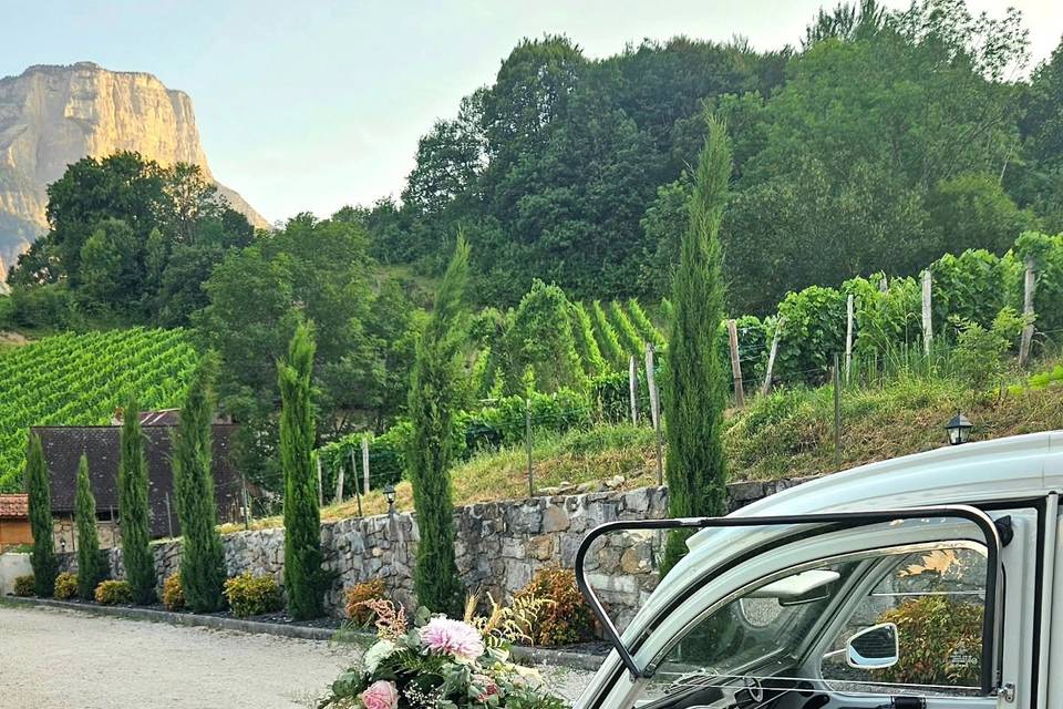 Vue montagne