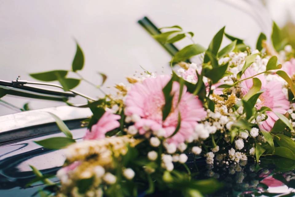 Fleurs sur la voiture