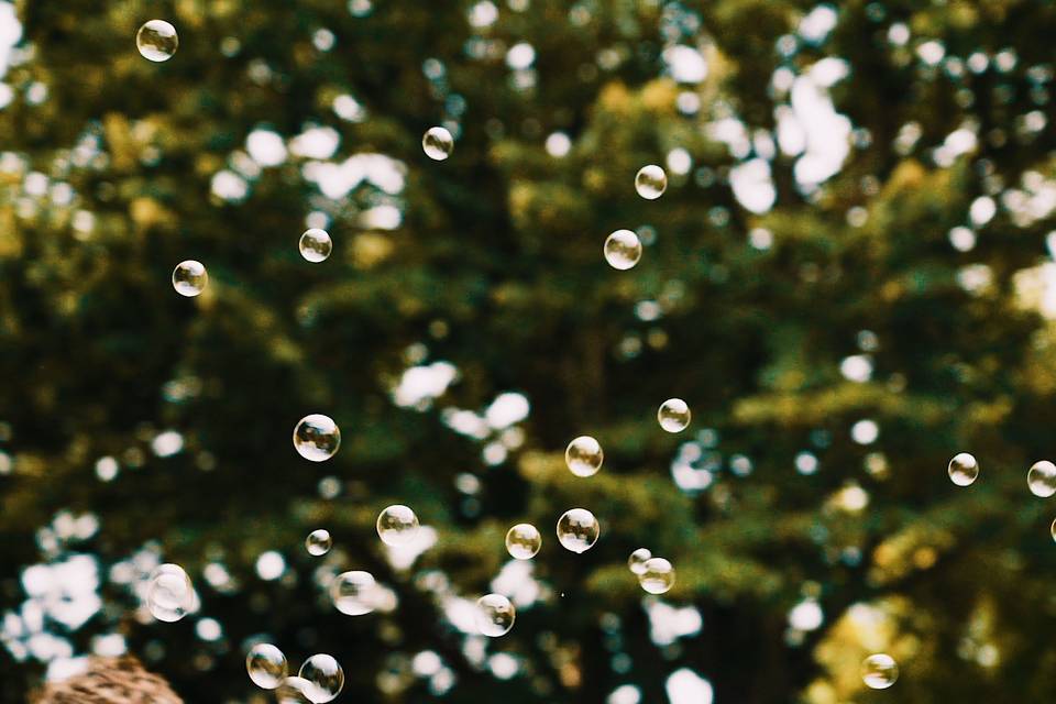 Bubbles