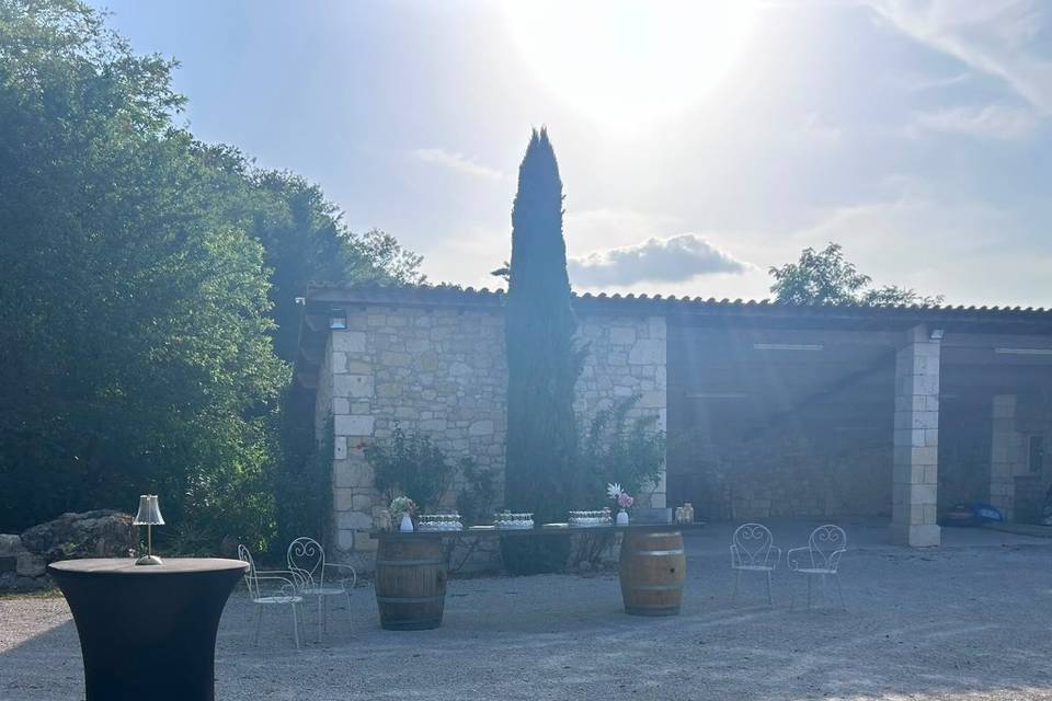 Cour