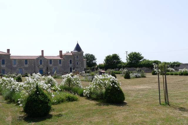 Immense jardin de fleurs