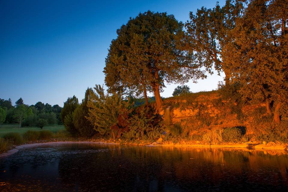 Paysage ensoleillé