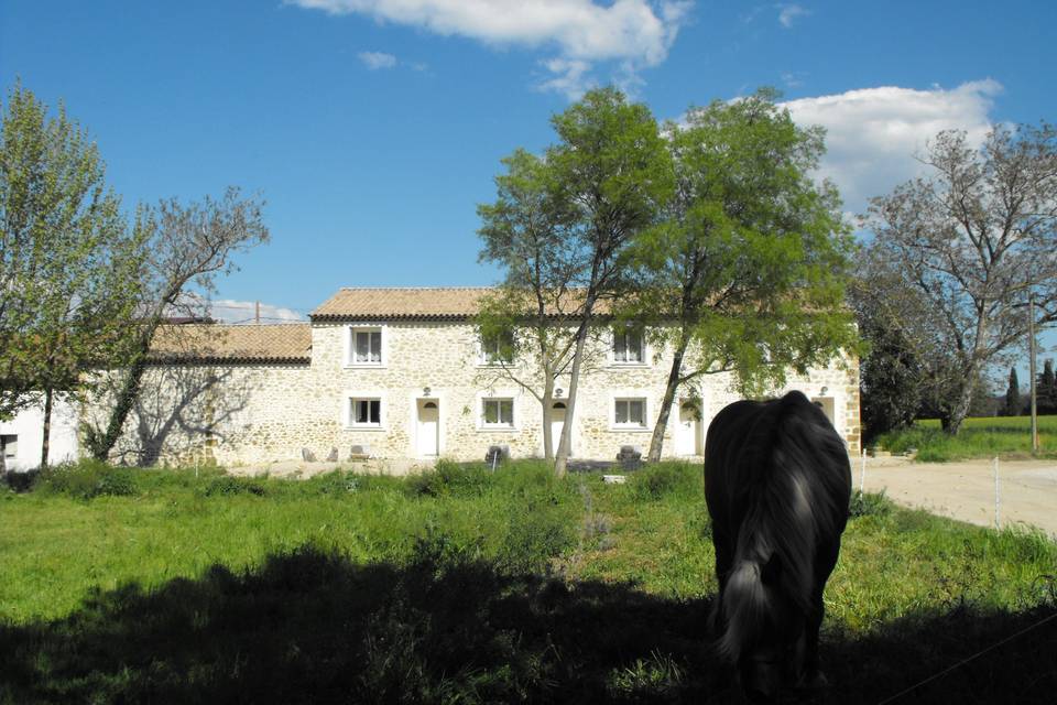 Le domaine et son environnement