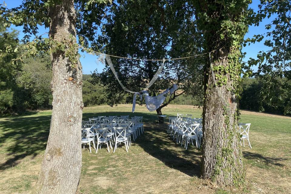 Cérémonie sous les arbres