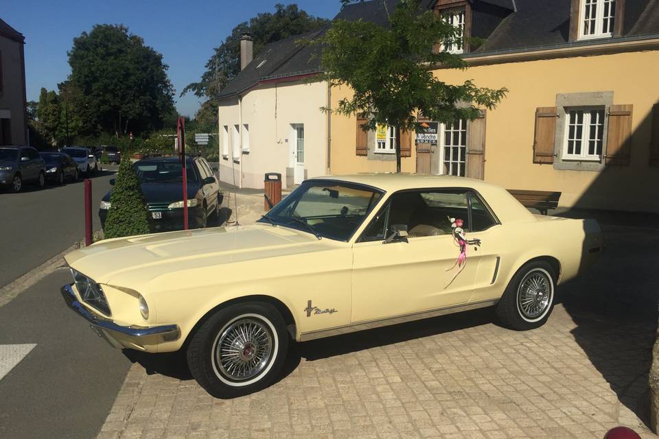 Mustang 68