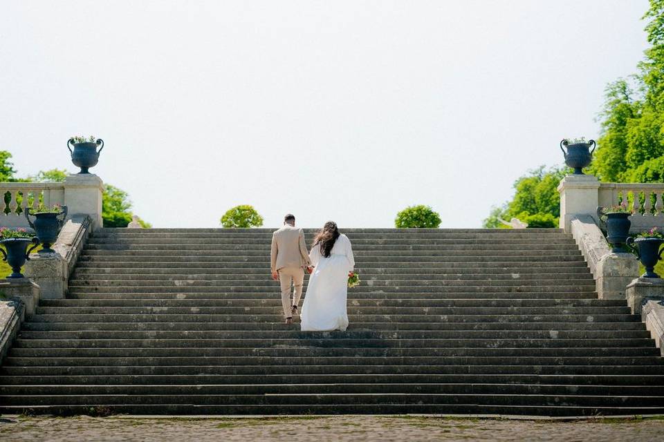Weddings Reels