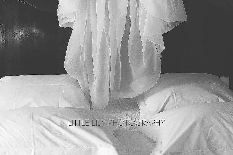 Little Lily Photography