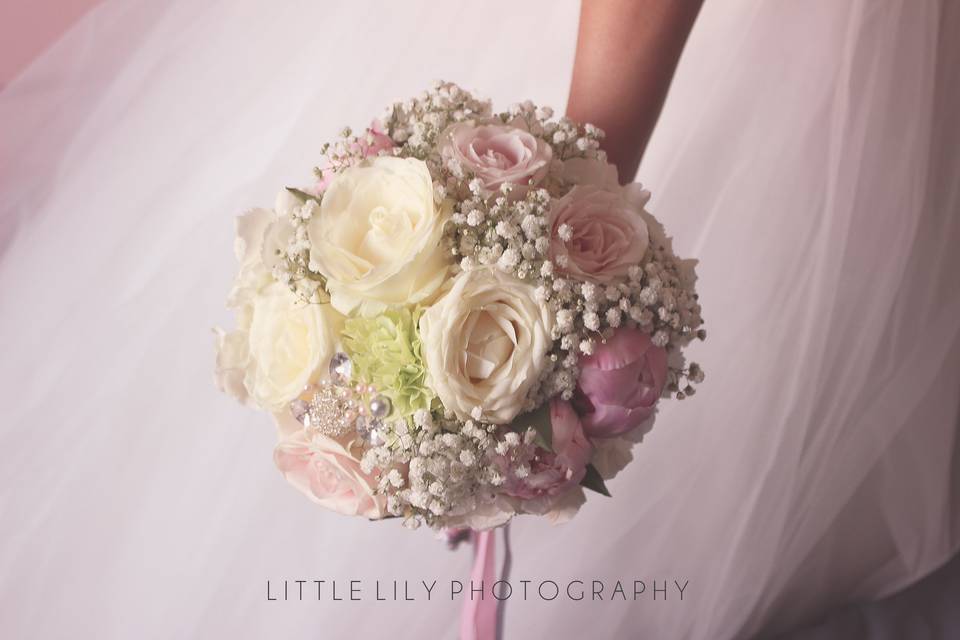 Little Lily Photography