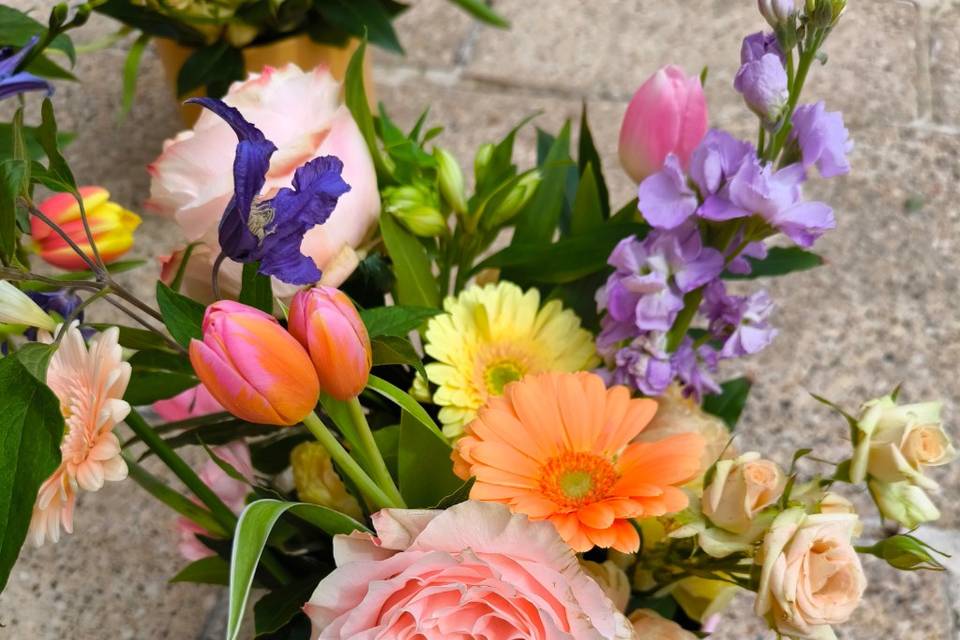 Jolies couleurs
