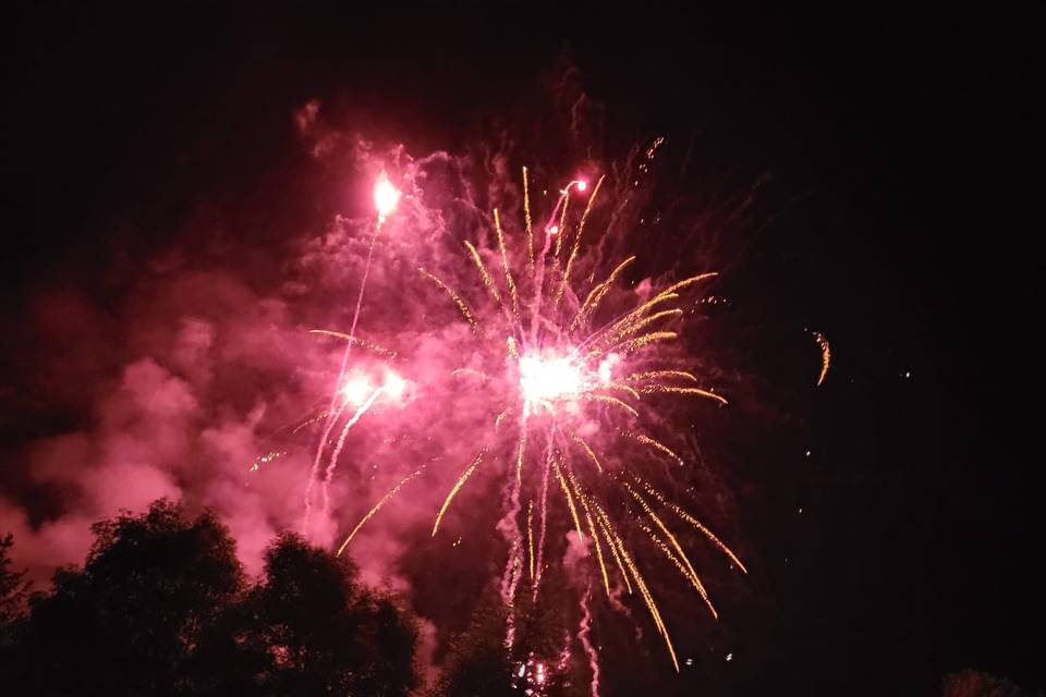Carrel Artifices