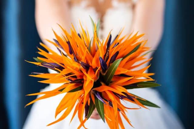 Bouquet  en strelitzia