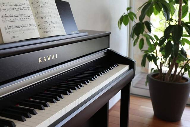 Piano violoncelle