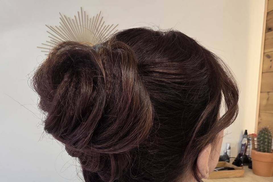 Chignon 3D