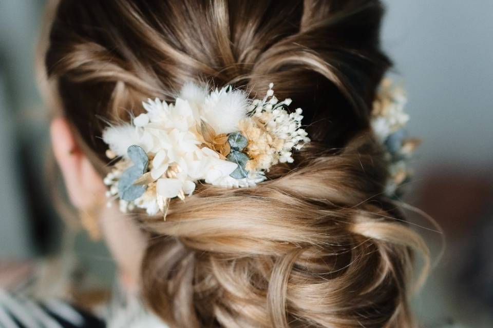 Chignon 3D