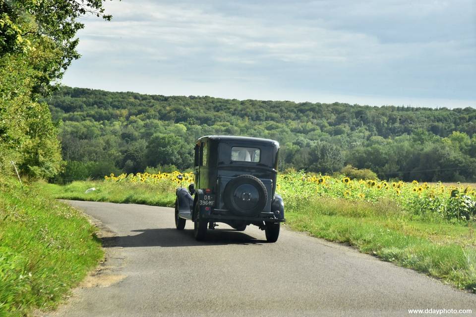 Voiture