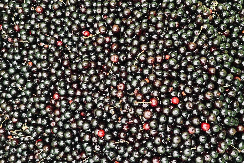 Cerises