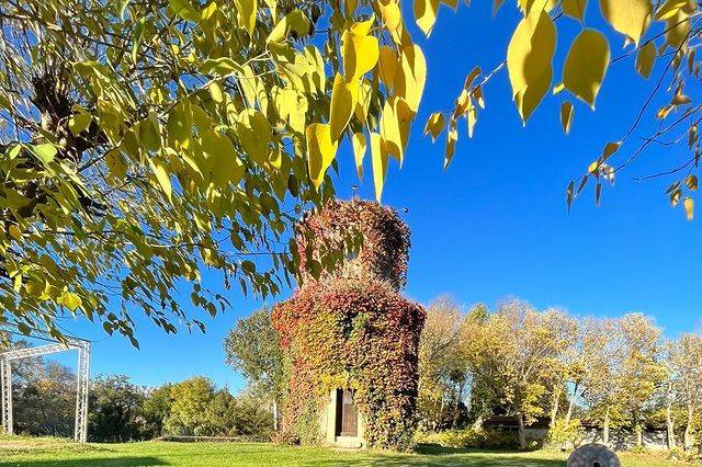 Domaine du Moulin de l'Arc