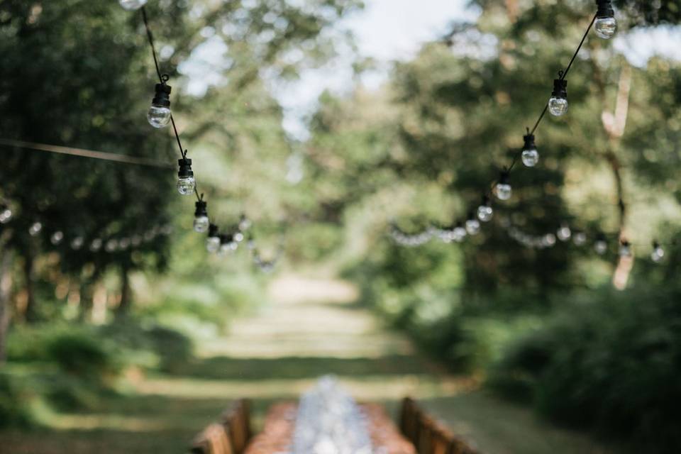 Diner de mariage en forêt