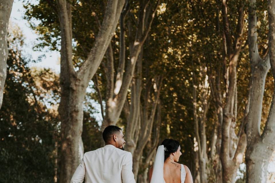 Mariage en Provence