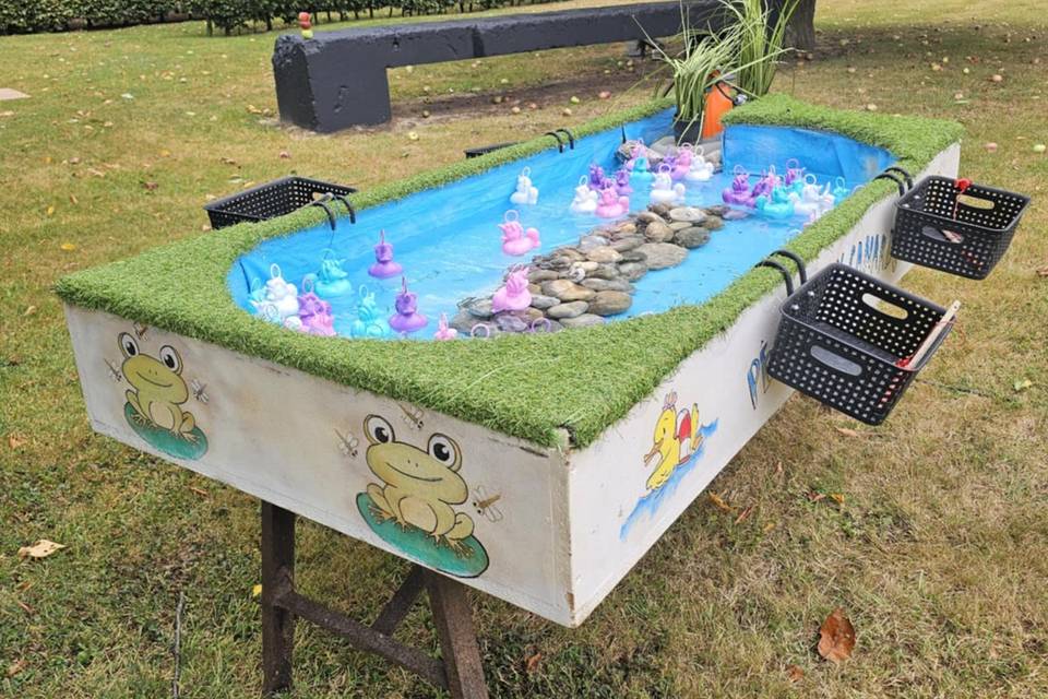 Pêche aux canards