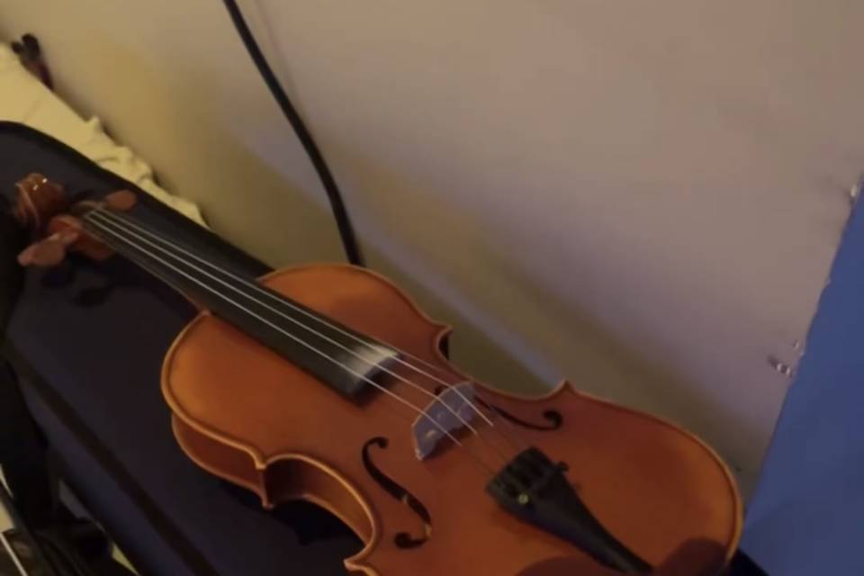 Violon