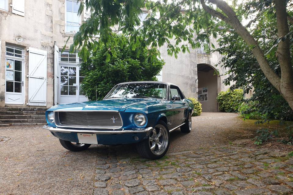 Mustang68