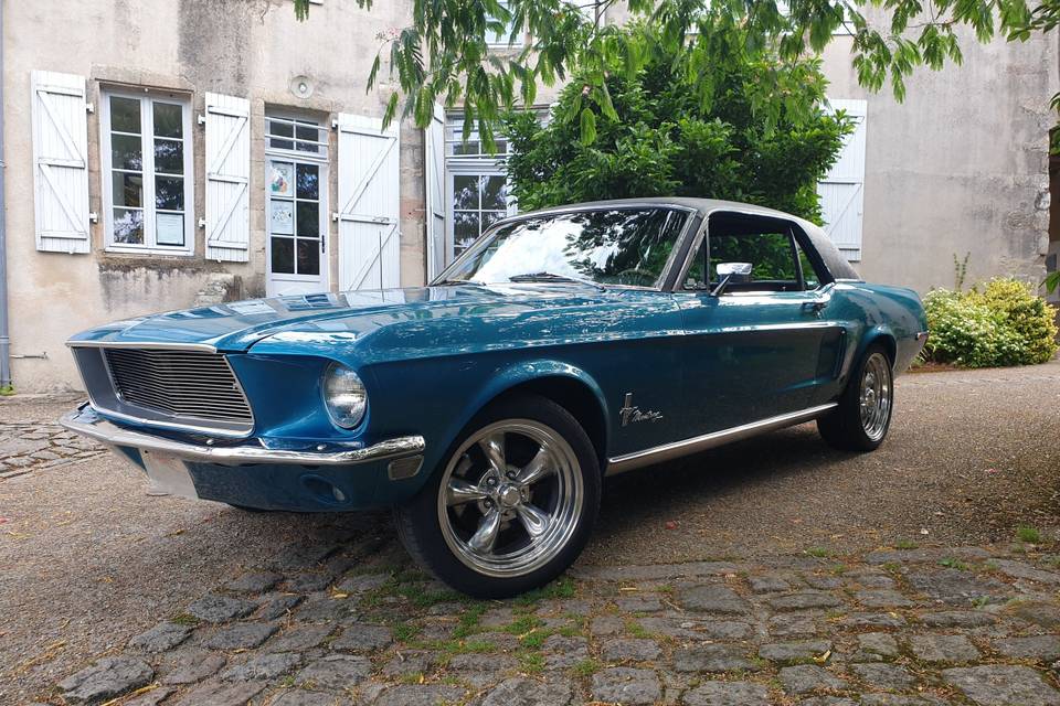Mustang 85