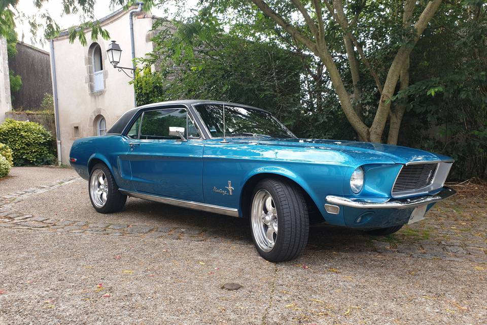 Mustang68