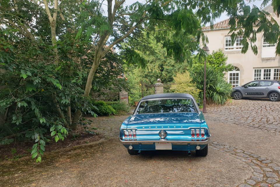 Mustang68
