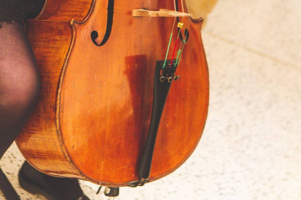 Violon - musique de cérémonie