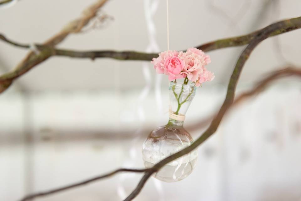 DOUCEUR DES FLEURS