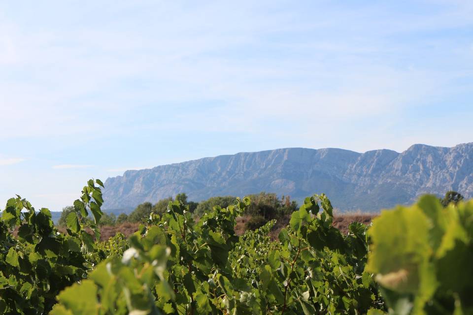 La Sainte Victoire