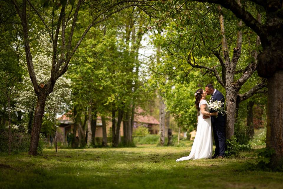 Photographe Troyes Mariage