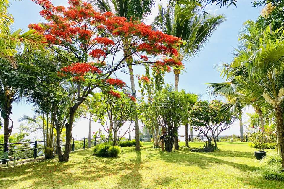 Le Jardin d'AmaLe Jardin d'Ama