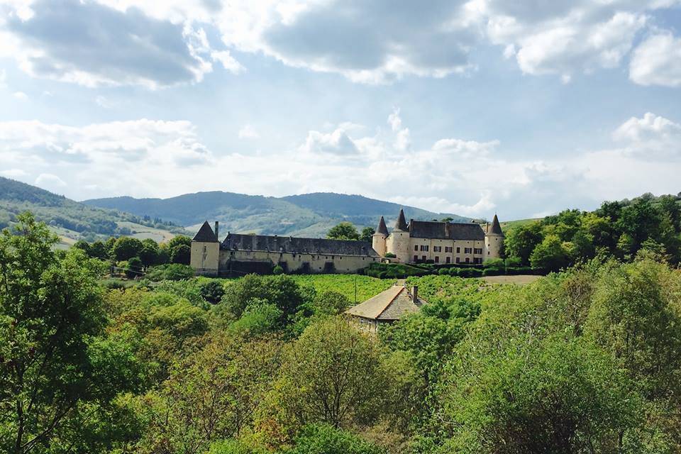 Chateau de Varennes