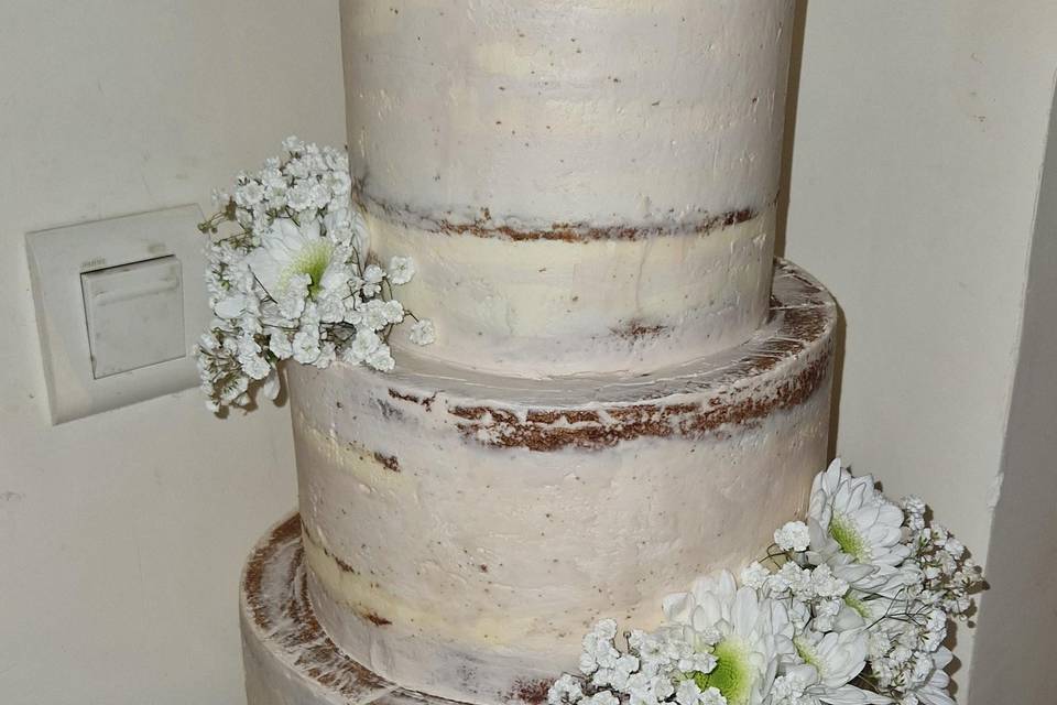 Naked cake