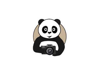 Les productions du Panda