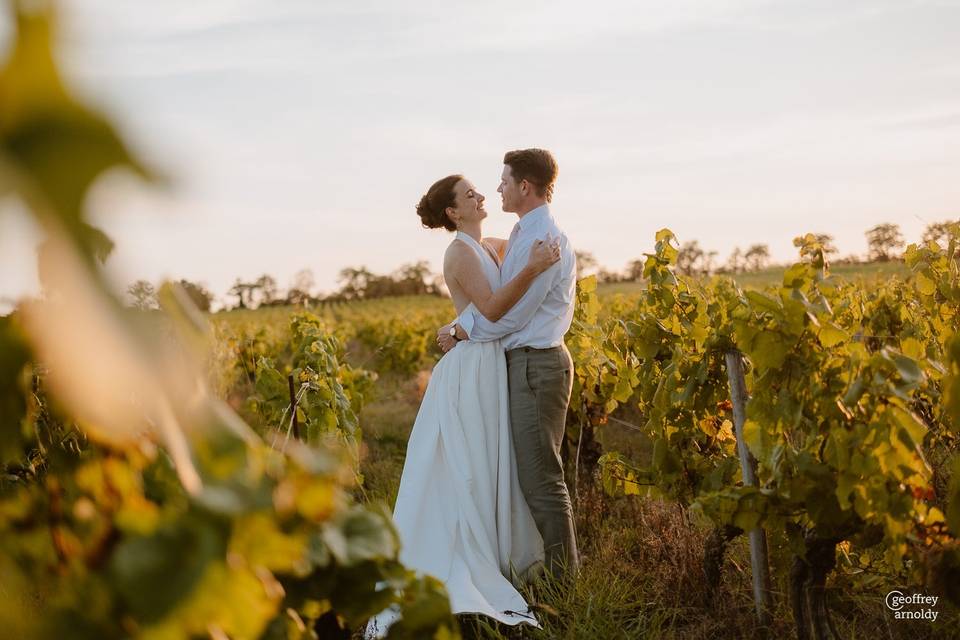Vignoble