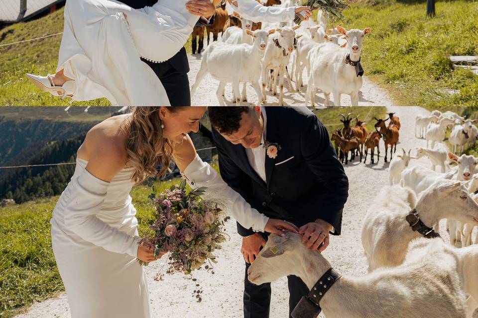 Kate & Tadhg