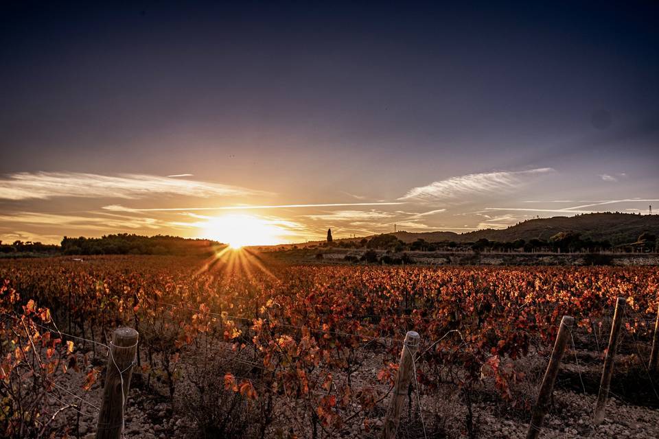 Coucher de soleil en automne