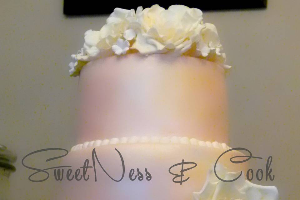 Wedding cake Pastel champêtre