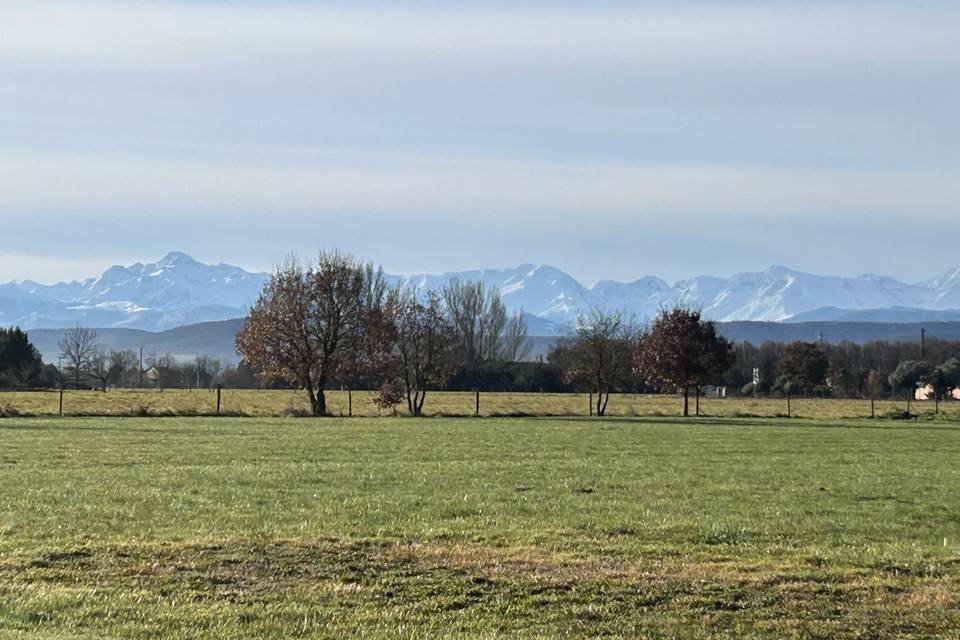 Vue en hiver