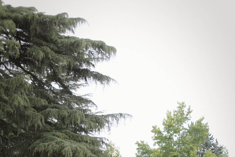 Le parc