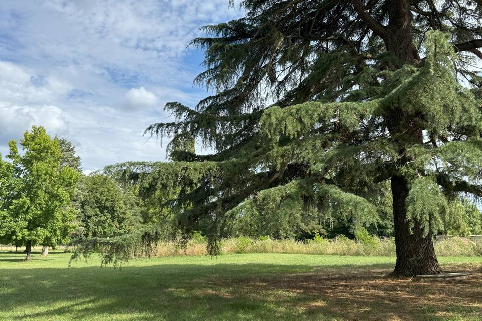 Le Parc verdoyant