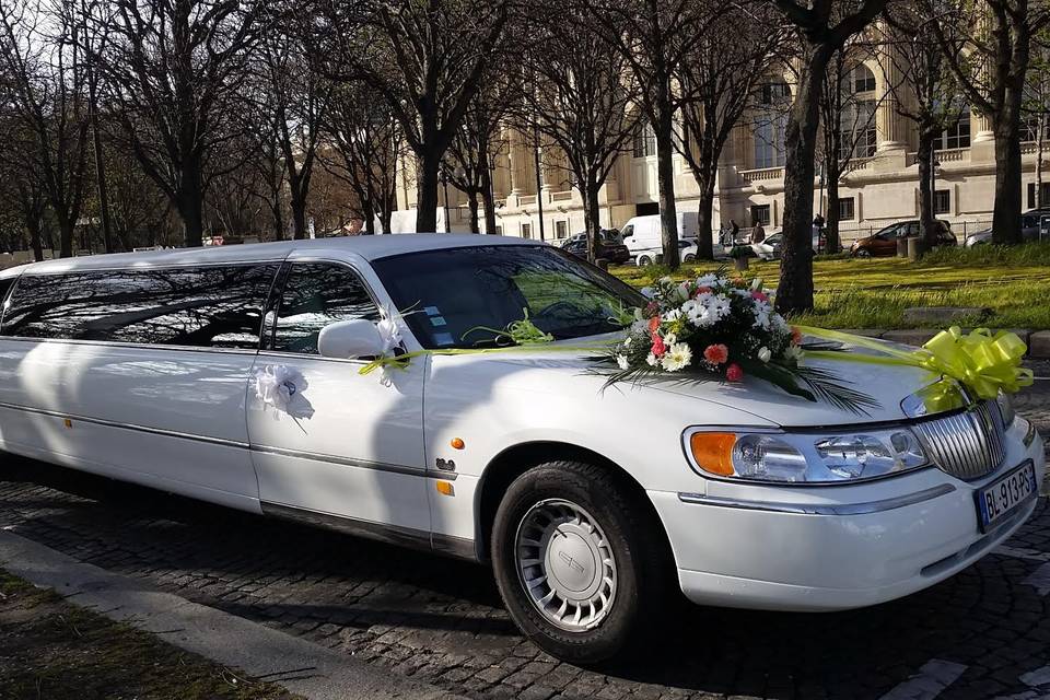 Limousine