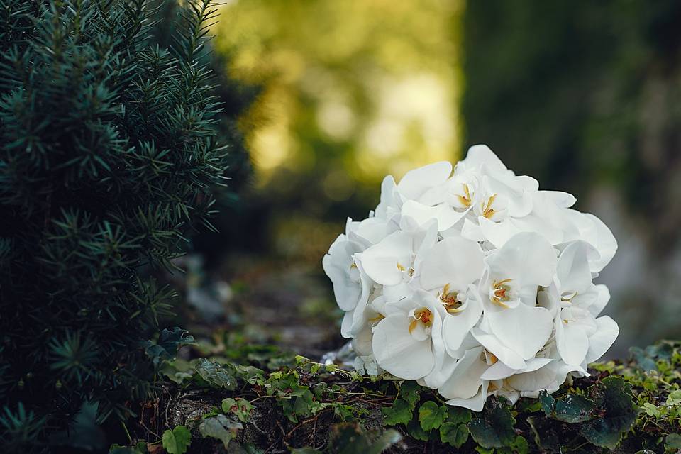 Bouquet de marié(e)