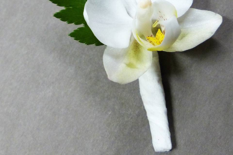 Boutonnière Orchidée