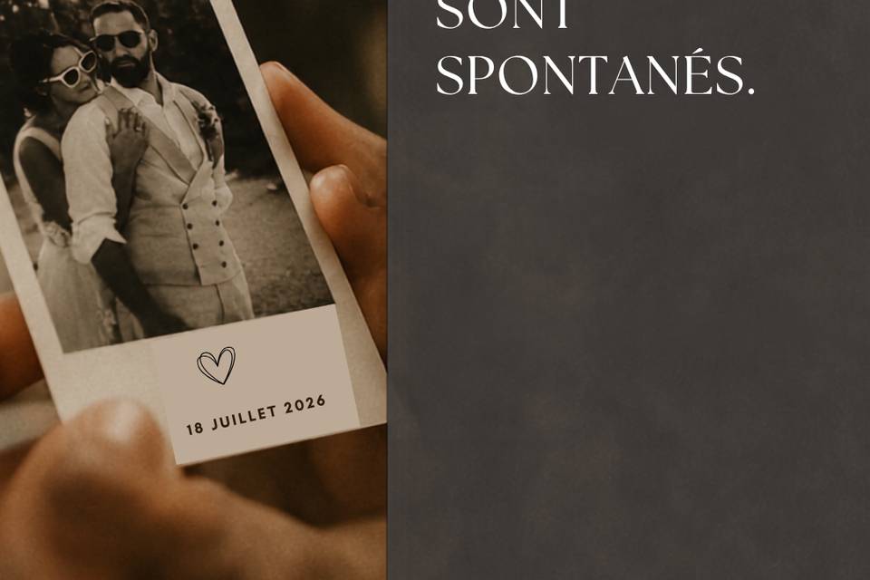 My Photobooth - Borne Bois
